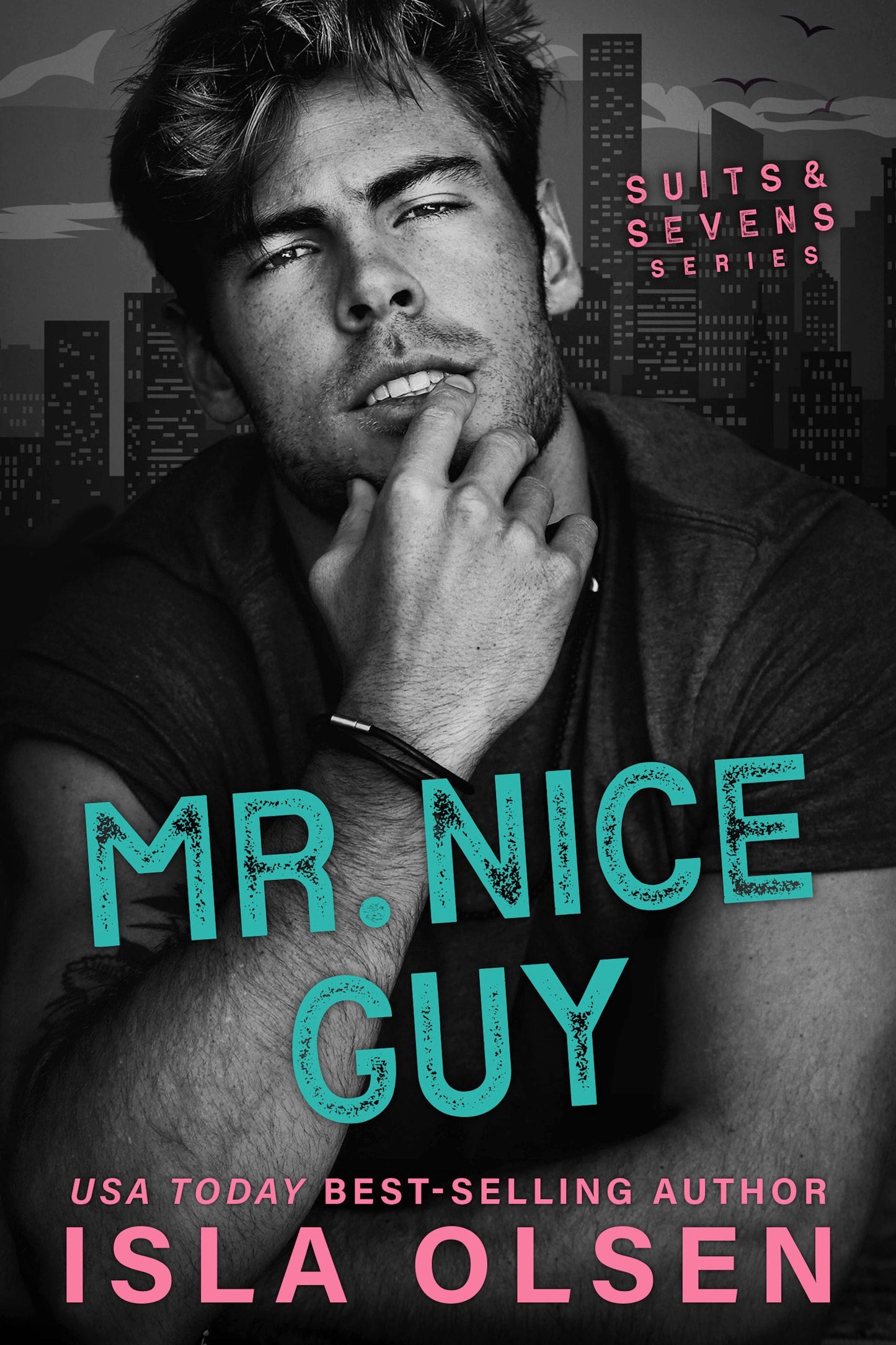 Mr Nice Guy (E-Book)